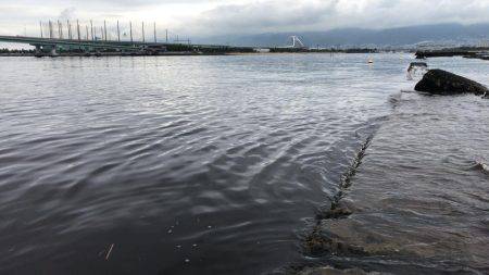 甲子園浜　デイゲーム　シーバス×キビレ